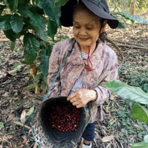 Mae Loire Coffee Process